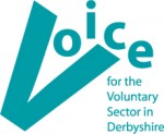 Voice logo